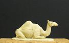 Ump304_ Liegendes_Dromedar